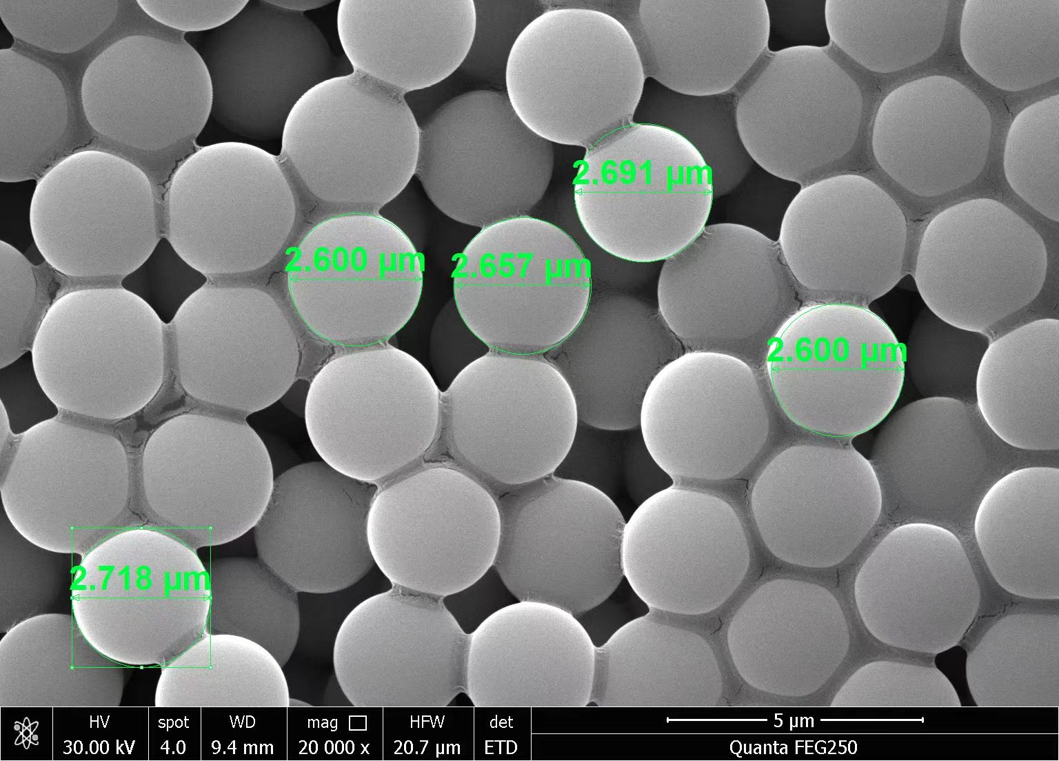 Carboxyl Magnetic Beads