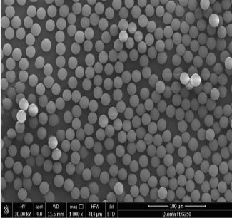 WCX Magnetic Beads